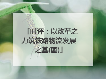时评：以改革之力筑铁路物流发展之基(图)